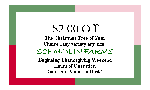 Discount Coupon